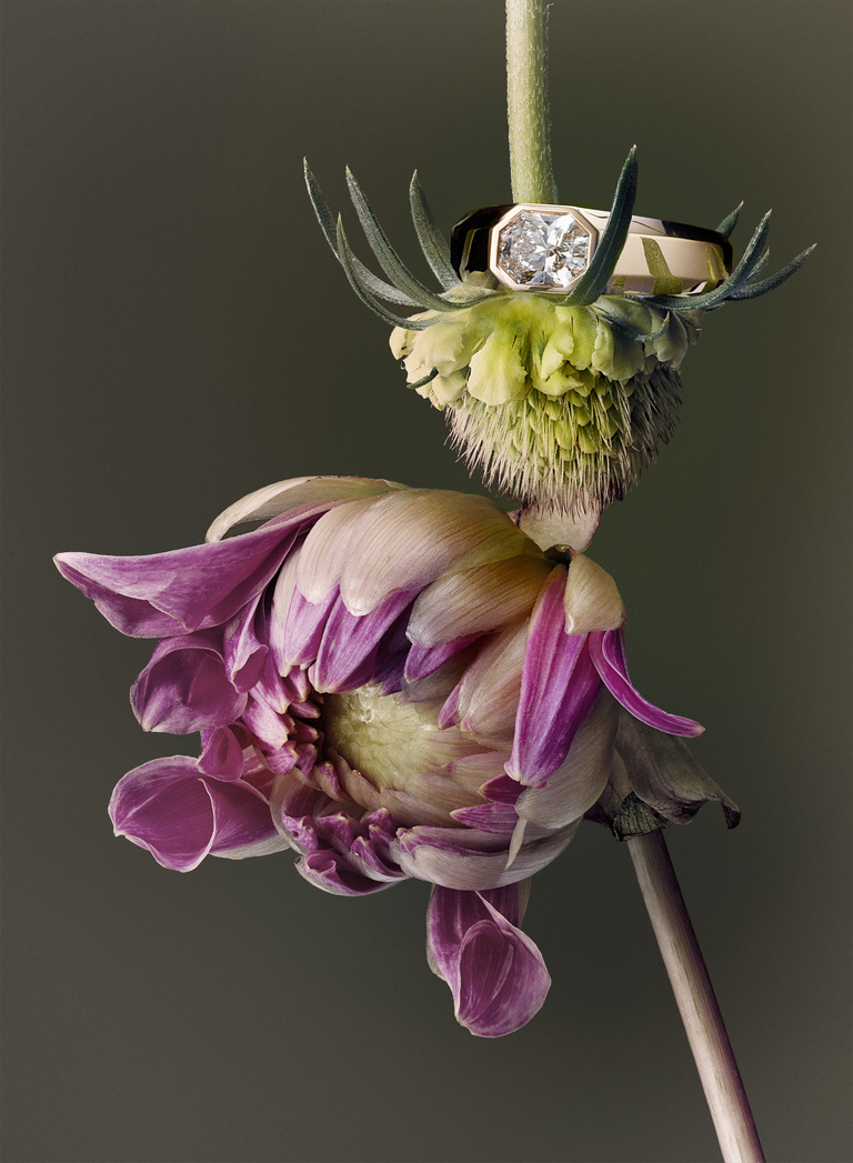 37.2 Paris - 251022_AMICA_140_SWAROVSKI.jpg