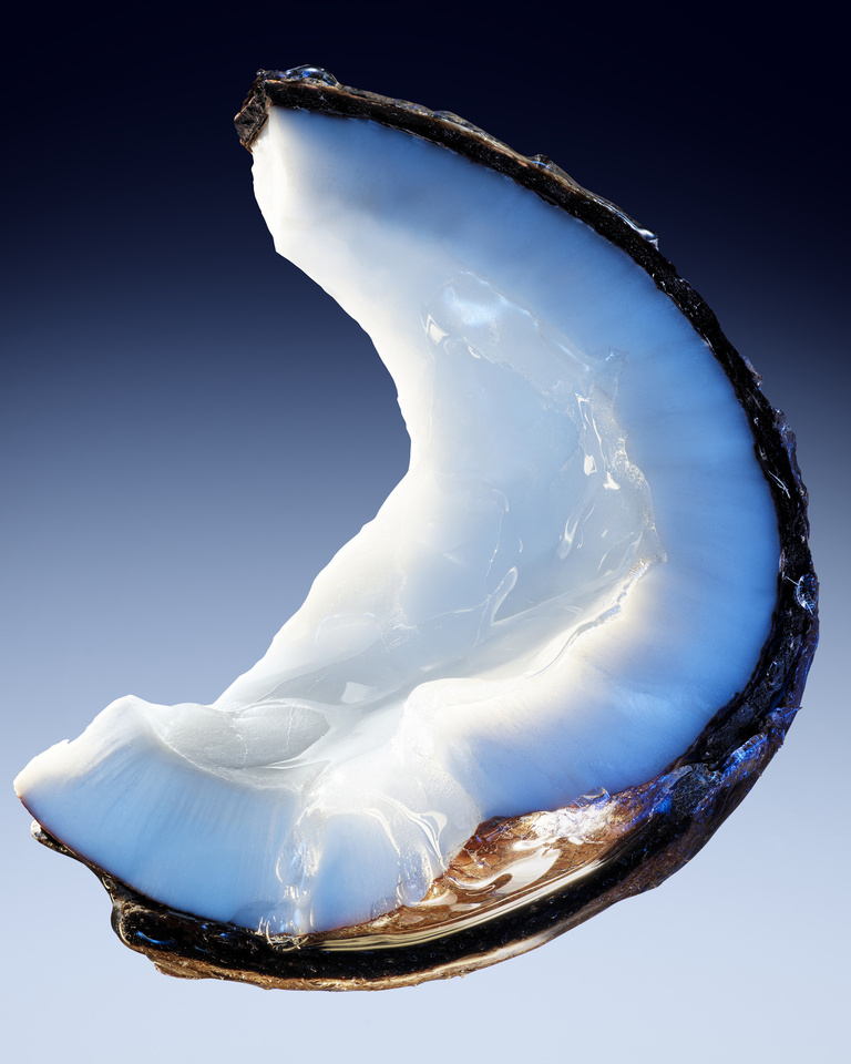 37.2 Paris - Mugler_2024_Angel Fantasm EDP_Coconut_4x5.jpg