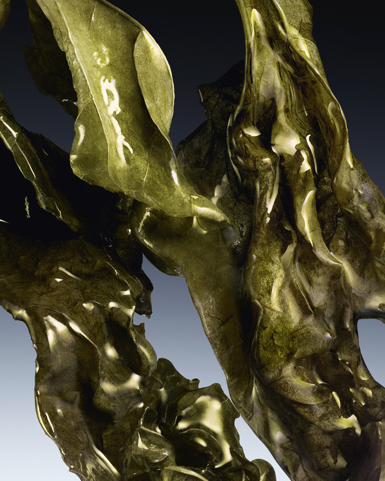 37.2 Paris - 004_CHYPRISSIME_PATCHOULI_0079_BASE_HELICON__3___105 copie.jpg