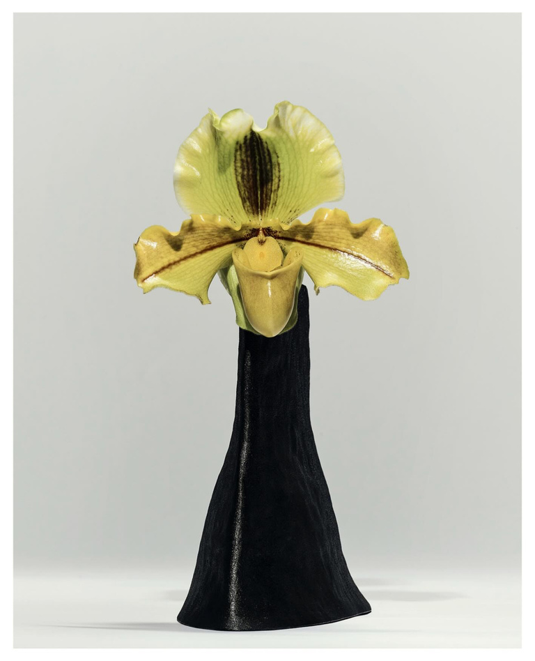 37.2 Paris - EBAC1421-9AD8-483E-9B67-8C5E267BD5A7.JPG