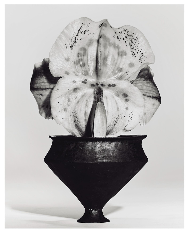 37.2 Paris - 336DDFED-070C-467B-BFE6-99029CFBAE4C.JPG