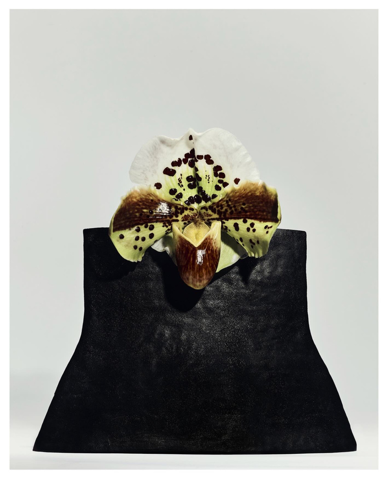 37.2 Paris - 32021EB5-A8AB-4CB3-8BFA-CD42D1DFF33A.JPG