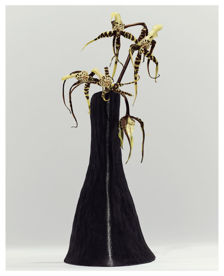 37.2 Paris - 6B3C7DE1-B6D9-4B81-A034-0006F62BDA18.JPG