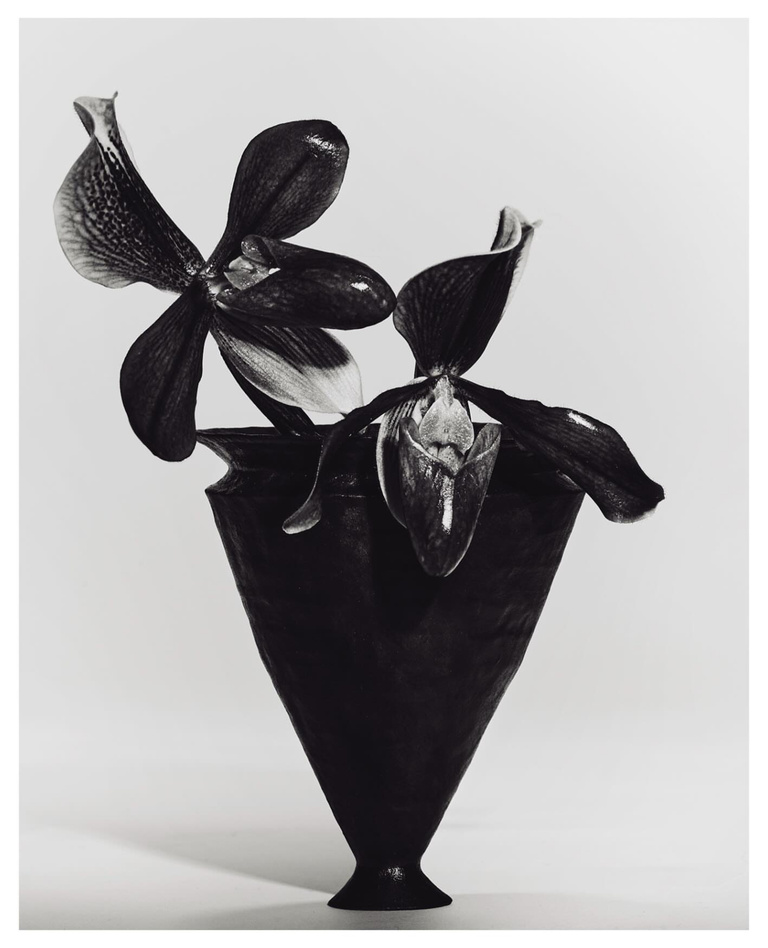 37.2 Paris - 63C6C05A-DCB5-40FA-9EC4-5B78CE7BCEBC.JPG