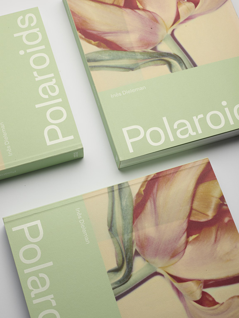 37.2 Paris - 37.2 Ines dieleman polaroids .jpg