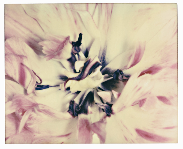 37.2 Paris - TULIPE_0016_024-R copie.jpg