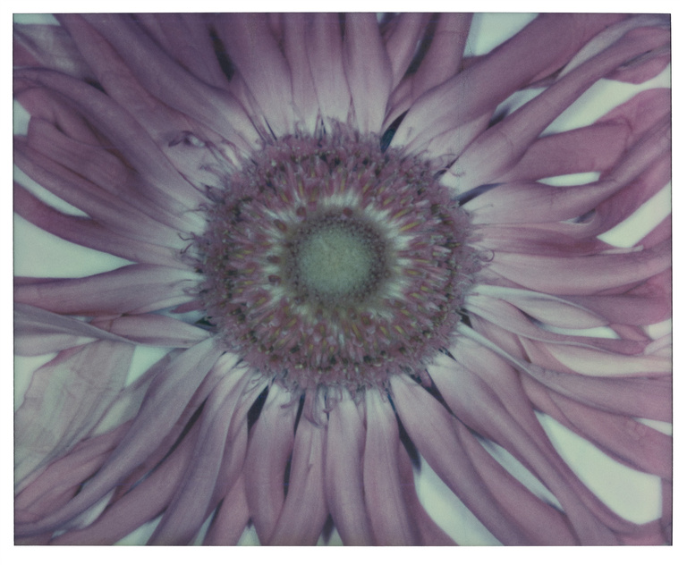 37.2 Paris - MARGUERITE_0007_120 copie.jpg