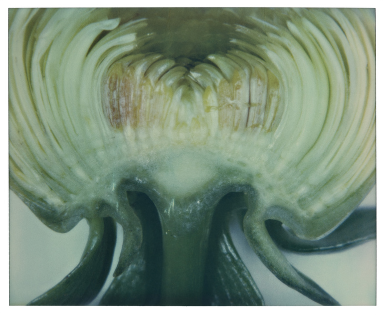 37.2 Paris - MARGUERITE_0013_126 copie.jpg