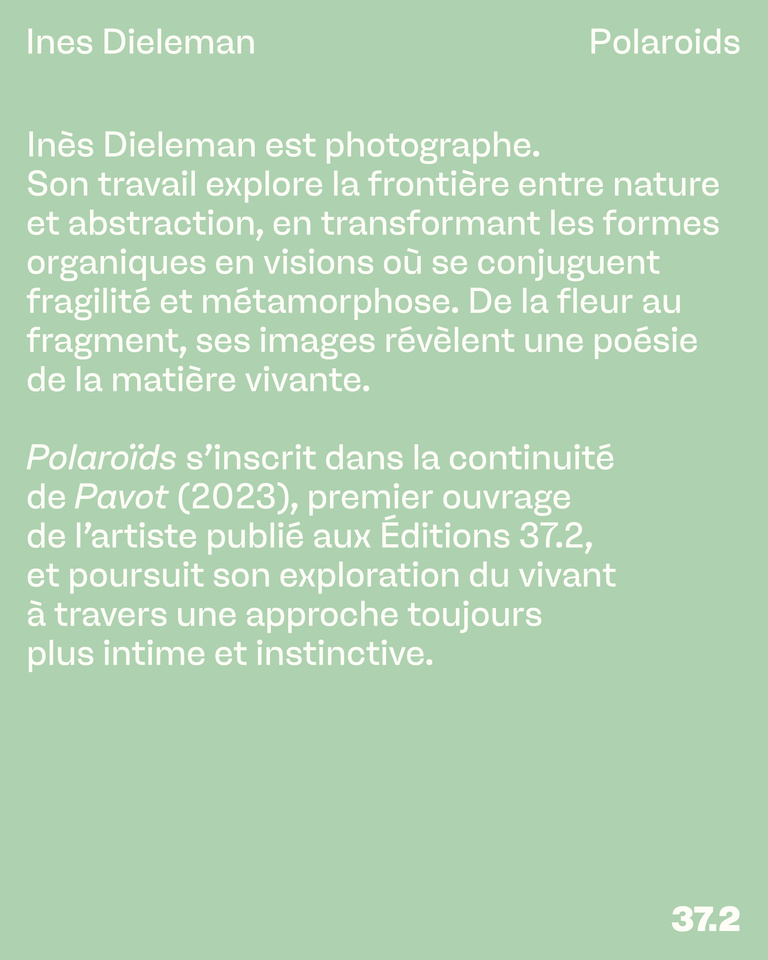 37.2 Paris - INES_POLAROIDS_INSTA_RESUME.jpg