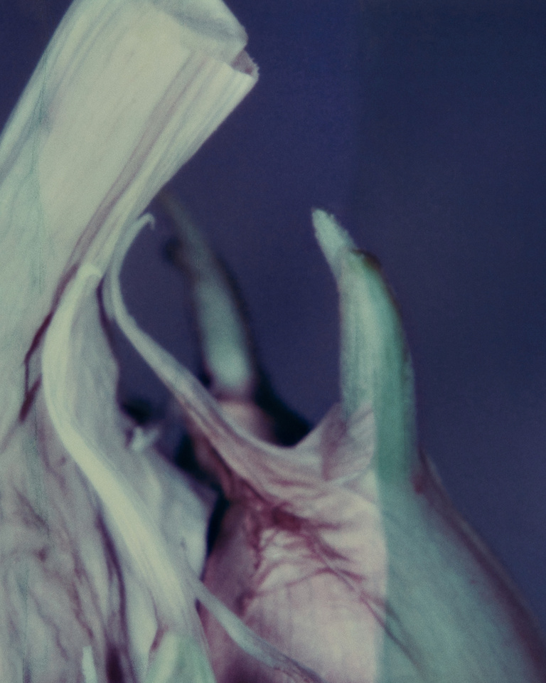 37.2 Paris - POST_POLAROIDS2.jpg