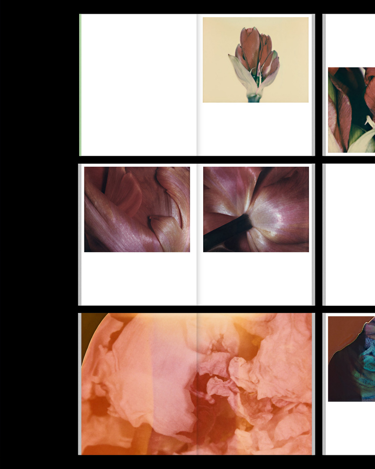 37.2 Paris - POST_POLAROIDS3.jpg