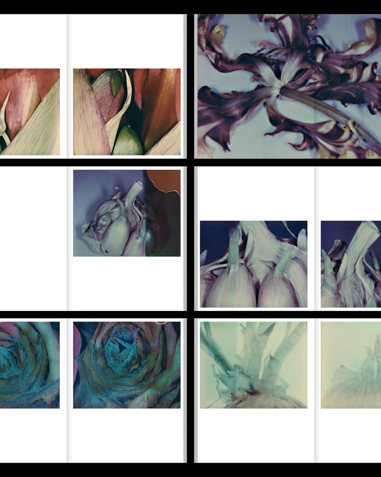 37.2 Paris - POST_POLAROIDS4.jpg