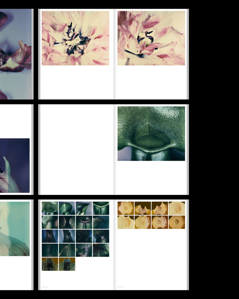 37.2 Paris - POST_POLAROIDS5.jpg