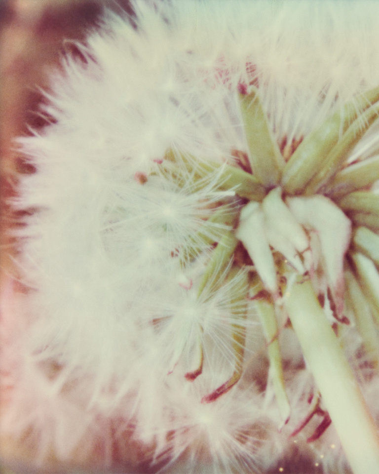 37.2 Paris - POST_POLAROIDS6.jpg