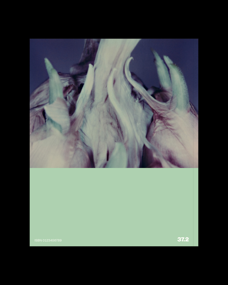 37.2 Paris - POST_POLAROIDS7.jpg