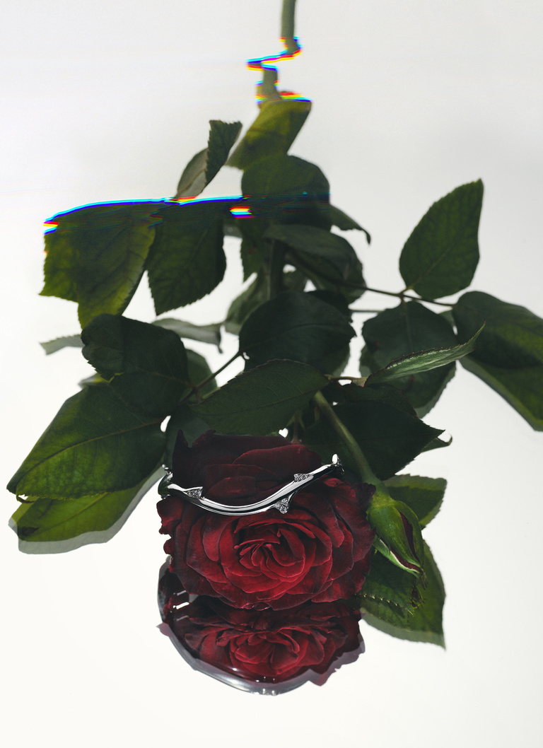 37.2 Paris - Wallpaper_03_RVB.jpg