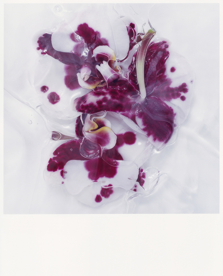 37.2 Paris - Flowers_AD (5) copy 2.jpg