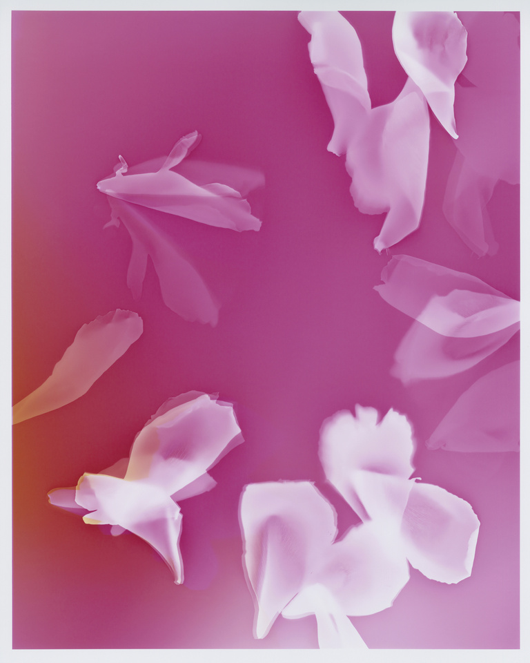 37.2 Paris - Flowers_AD (7) copy 2.jpg