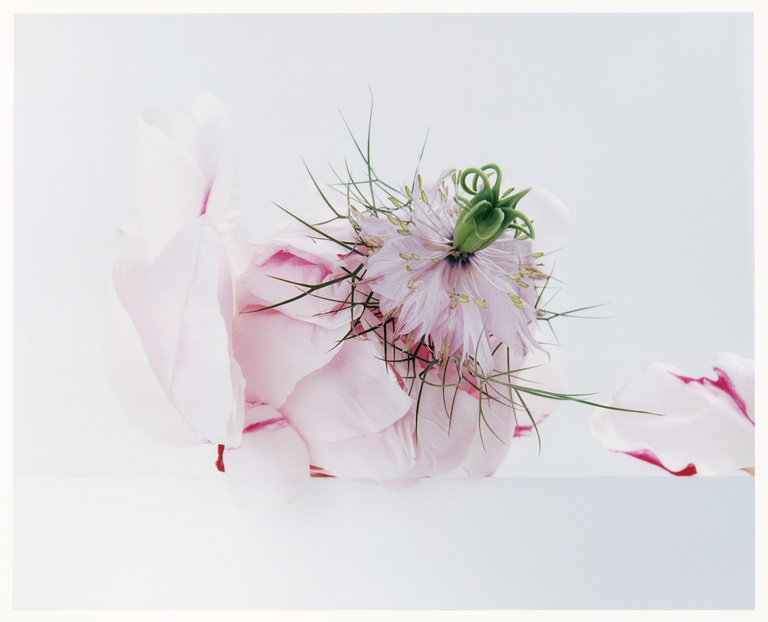 37.2 Paris - Flowers_AD (9) copy 2.jpg