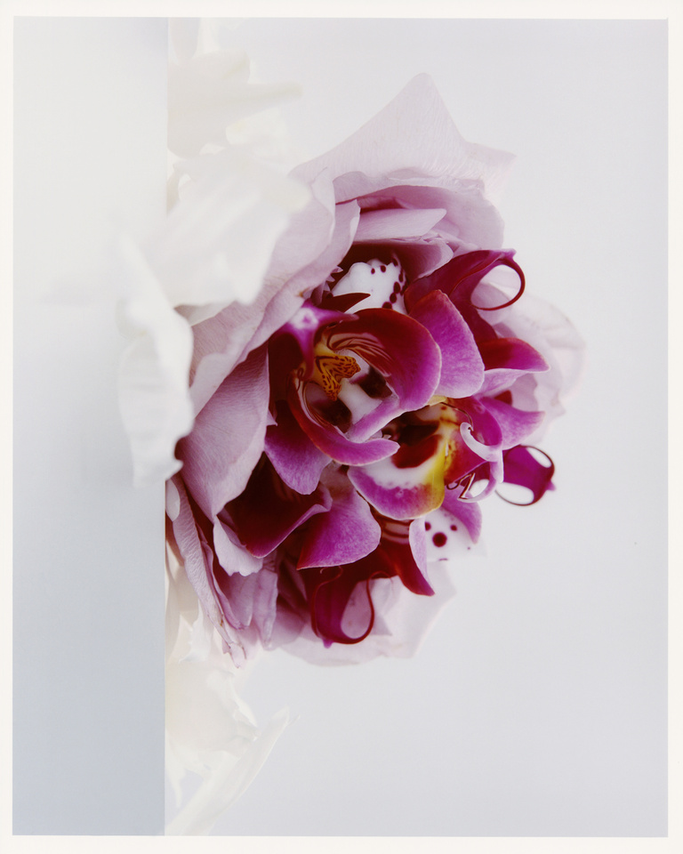 37.2 Paris - Flowers_AD (10) copy 2.jpg