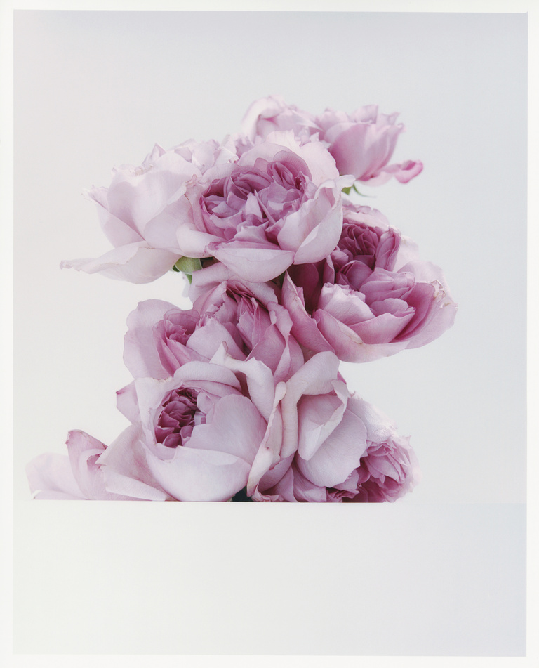 37.2 Paris - Flowers_AD (13) copy 3.jpg