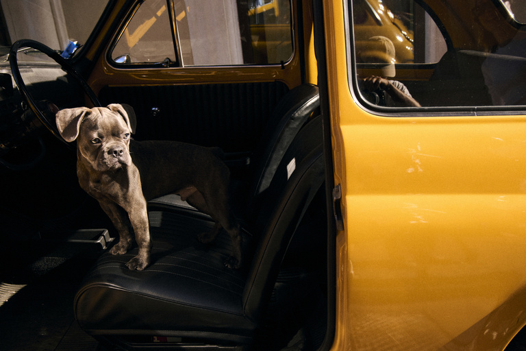 37.2 Paris - 30_250902_73.jpg