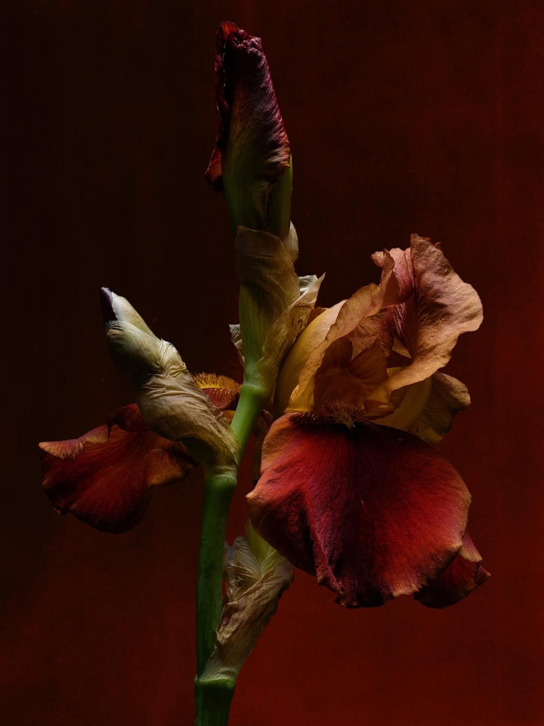 37.2 Paris - 0F46A6A1-3161-439E-B65F-37732F997AE5.JPG