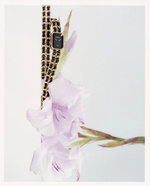 37.2 Paris - 23F2520A-AA54-44DA-9754-1317E09A7479.JPG