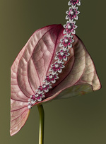 37.2 Paris - 251022_AMICA_030_ROBERTO_COIN.jpg