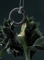 37.2 Paris - 251022_AMICA_050_RASPINI_2.jpg