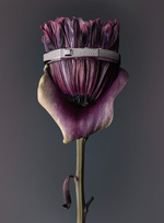 37.2 Paris - 251022_AMICA_110_MESSIKA.jpg