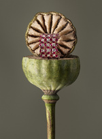 37.2 Paris - 251022_AMICA_090_PISA_v2.jpg