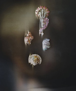 37.2 Paris - A63A0369-569A-4A1F-8274-D7A6EBA8EF33.JPG