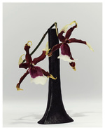 37.2 Paris - CB96CF91-E789-4DB6-A7B1-8589A002EFA5.JPG