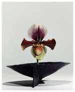 37.2 Paris - C2D2751E-699A-4326-B34B-7A075A6C16FD.JPG