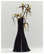 37.2 Paris - 6B3C7DE1-B6D9-4B81-A034-0006F62BDA18.JPG