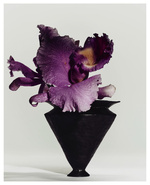 37.2 Paris - 87C62FDB-6230-4ADA-8747-8CC5C8A20937.JPG