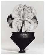 37.2 Paris - 336DDFED-070C-467B-BFE6-99029CFBAE4C.JPG