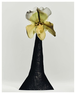 37.2 Paris - 84005610-138C-46B5-887C-492CCCB53CE5.JPG