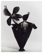 37.2 Paris - 63C6C05A-DCB5-40FA-9EC4-5B78CE7BCEBC.JPG