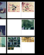 37.2 Paris - POST_POLAROIDS5.jpg