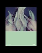 37.2 Paris - POST_POLAROIDS7.jpg