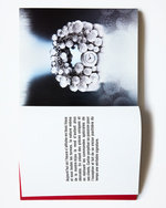 37.2 Paris - RobertoBadinPersoDec640.jpg