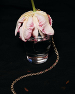 37.2 Paris - Marie_Clair_HauteJo3317_BASE.jpg