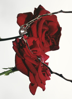 37.2 Paris - Wallpaper_02_RVB.jpg