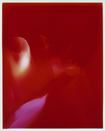 37.2 Paris - Flowers_AD (2) copy 2.jpg