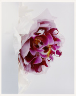 37.2 Paris - Flowers_AD (10) copy 2.jpg