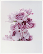 37.2 Paris - Flowers_AD (13) copy 3.jpg