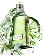37.2 Paris - PACK COLOGNE_H.jpg
