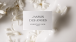 37.2 Paris - Dior 8